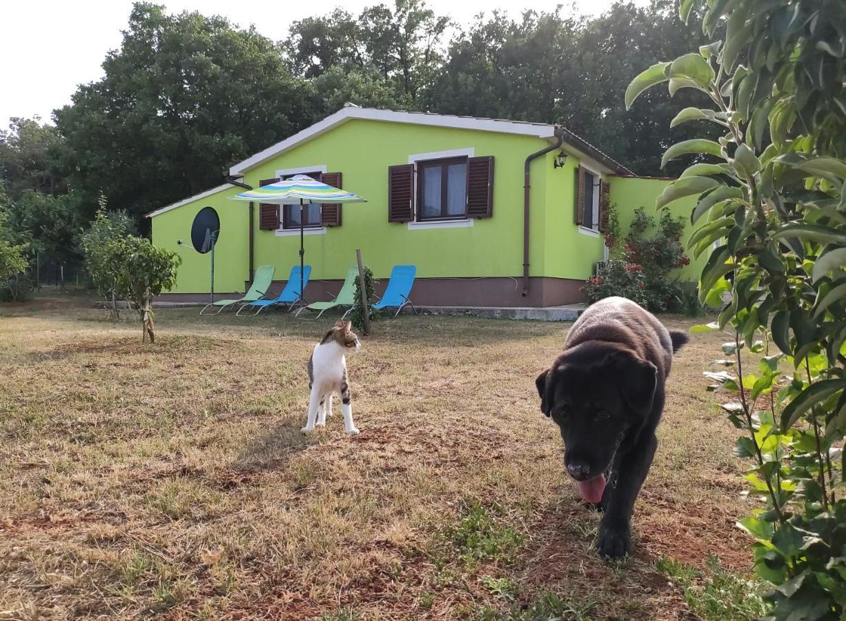 Villa Kuca Za Odmor Tri Sunca Pula Exterior foto