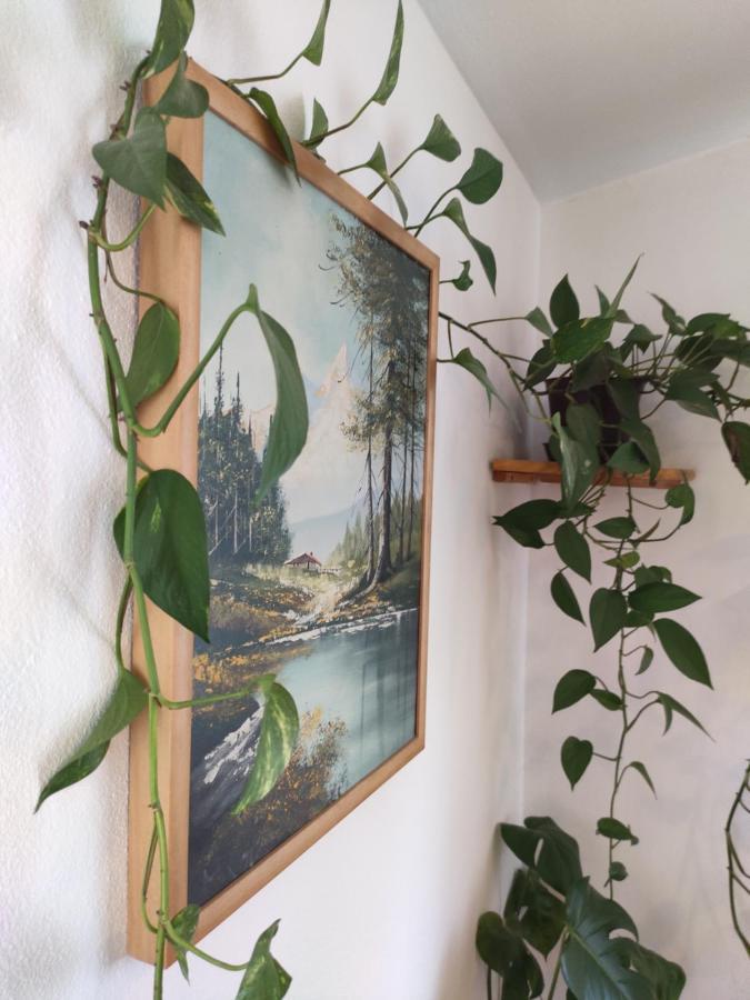 Villa Kuca Za Odmor Tri Sunca Pula Exterior foto